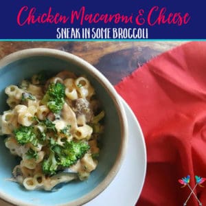 Read more about the article Macaroni and Cheese with Broccoli and Chicken
