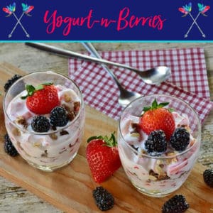 Read more about the article Yogurt-n-Berries Dessert